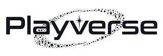 PLAYVERSE logo