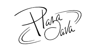 PLAZA JAVA logo