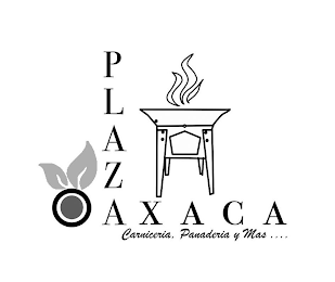PLAZA OAXACA CARNICERIA, PANEDERIA Y MAS.... logo
