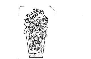 PLAZA PLANTERS IT WILL GROW ON YOU logo