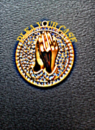 PLEA YOUR CASE logo