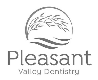 PLEASANT VALLEY DENTISTRY logo