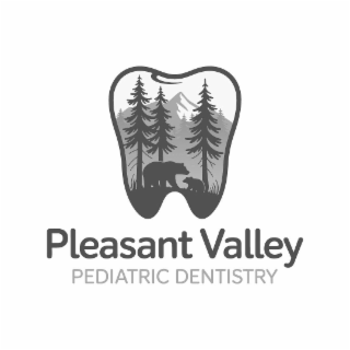 PLEASANT VALLEY PEDIATRIC DENTISTRY logo