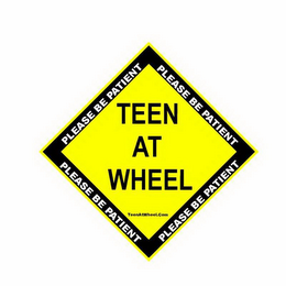 PLEASE BE PATIENT PLEASE BE PATIENT PLEASE BE PATIENT PLEASE BE PATIENT TEEN AT WHEEL TEENATWHEEL.COM logo