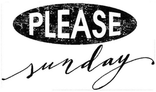PLEASE SUNDAY logo