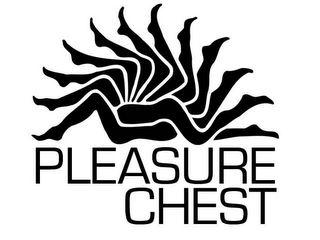 PLEASURE CHEST logo