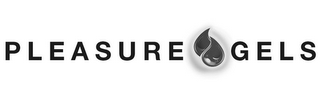 PLEASURE GELS logo
