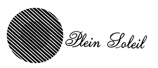 PLEIN SOLEIL logo