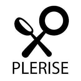 PLERISE logo