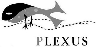 PLEXUS logo