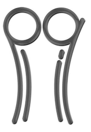 PLIQ logo