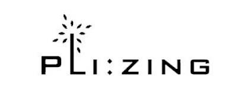 PLI:ZING logo