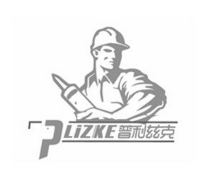 PLIZKE logo