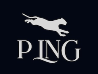 PLNG logo