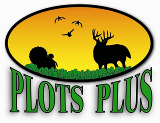 PLOTS PLUS logo