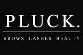 PLUCK. BROWS LASHES BEAUTY logo