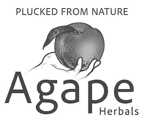 PLUCKED FROM NATURE AGAPE HERBALS logo