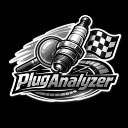 PLUGANALYZER logo