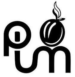 PLUM logo