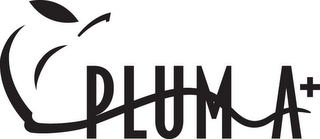 PLUM A+ logo