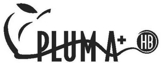 PLUM A + HB logo