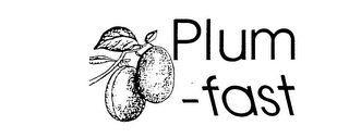 PLUM-FAST logo