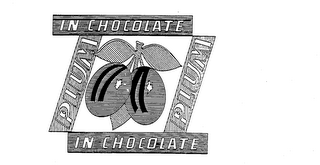 PLUM IN CHOCOLATE logo