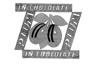 PLUM IN CHOCOLATE logo