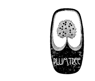 PLUM TREE logo