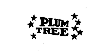 PLUM TREE logo