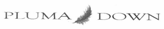 PLUMA DOWN logo