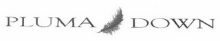 PLUMA DOWN logo