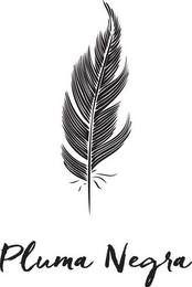 PLUMA NEGRA logo