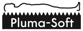PLUMA-SOFT logo