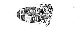 PLUMB MAGIC PM logo