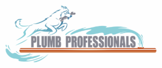 PLUMB PROFESSIONALS logo