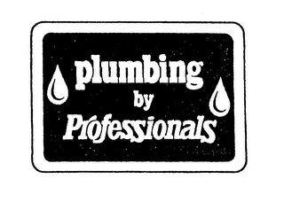 PLUMBING BY PROFESSIONALS logo