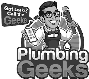 PLUMBING GEEKS GOT LEAKS? CALL THE GEEKS CALLING logo