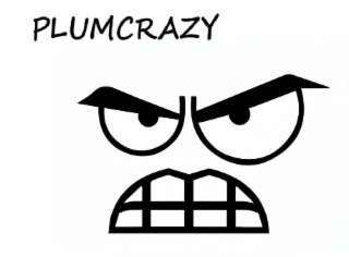 PLUMCRAZY logo