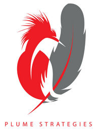 PLUME STRATEGIES logo