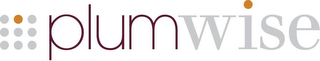 PLUMWISE logo
