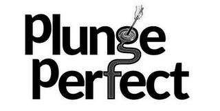 PLUNGE PERFECT logo