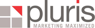 PLURIS MARKETING MAXIMIZED logo