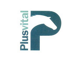 PLUS VITAL P logo