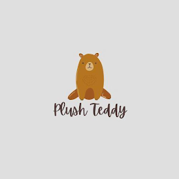 PLUSH TEDDY logo