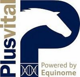 PLUSVITAL P POWERED BY EQUINOME logo