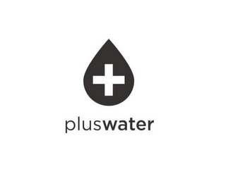PLUSWATER logo