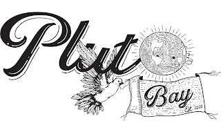 PLUTO BAY EST...2020 logo