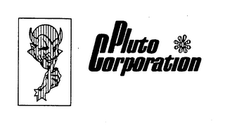 PLUTO CORPORATION logo