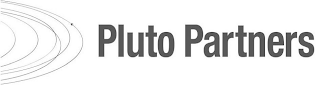 PLUTO PARTNERS logo